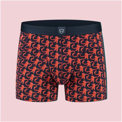 ADAM MONKEY BOXER SHORTS ASSORTED XL